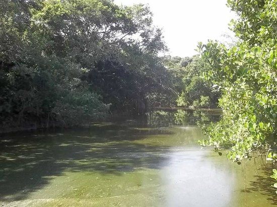 Ecological Reserve Taua