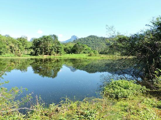 REGUA - Reserva Ecológica de Guapiaçu