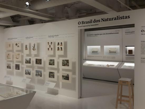 Espaco Olavo Setubal