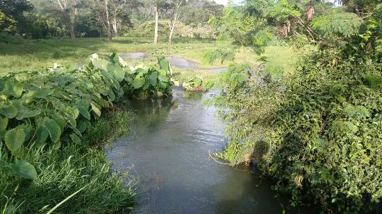 Reserva Ecológica de Corumbá
