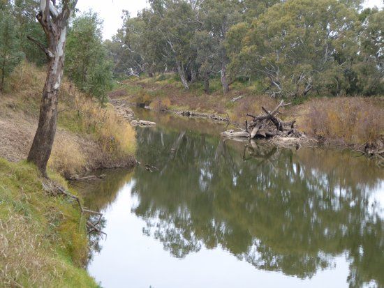 Terramungamine Reserve and Rock Grooves