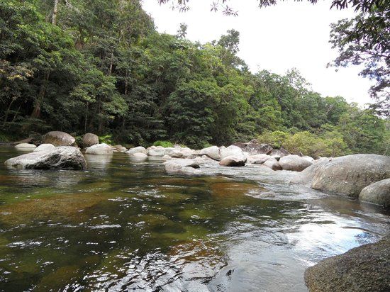 Mossman Gorge