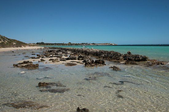 The Coral Bay Shark Nursery