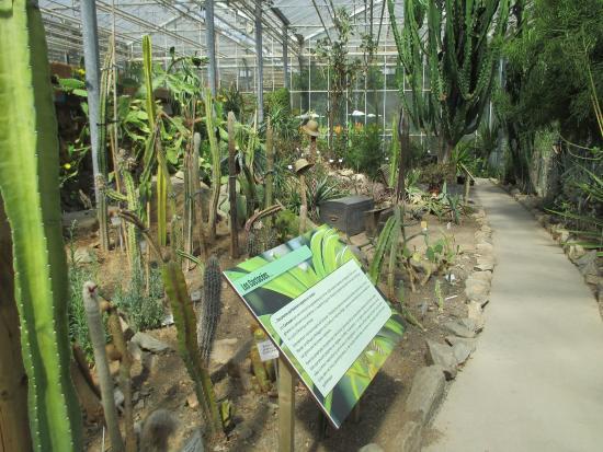 Observatoire Du Monde Des Plantes Ulg