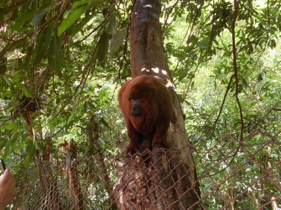 Parque Ecológico Bióloga Tânia Mara Netto Silva