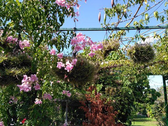 El Sueño Jardin Botanico