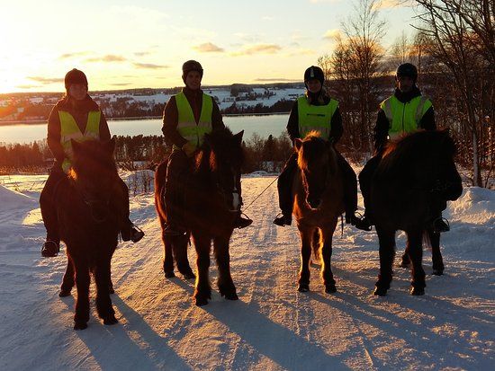 Sörbygården Logi & Hästgård