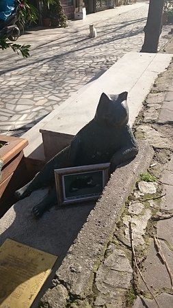 Monuemnt to the Cat Tombili