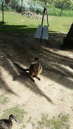 Humbug Scrub Wildlife Sanctuary