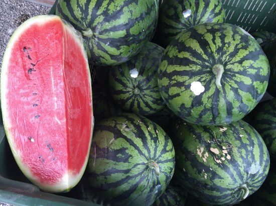 Azienda Agricola Malaguti