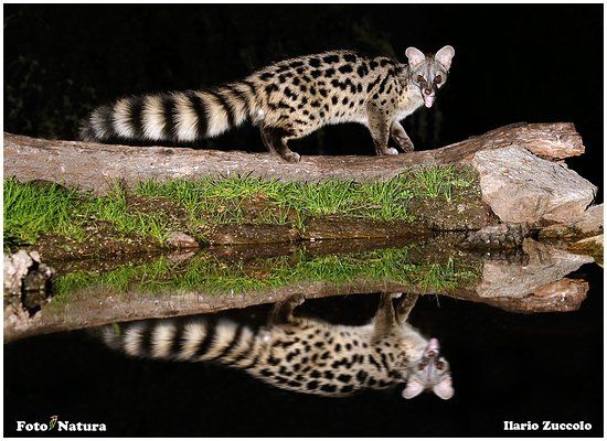 Naturaleza en Campanarios de Azaba