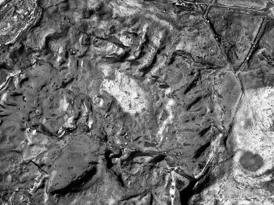 The Etches Collection