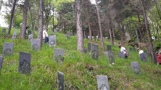 Bosco delle Penne Mozze