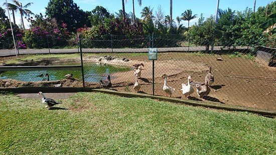 Ferme Pédagogique de Sainte Anne