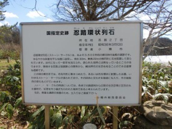 Oshoro Annular Stone