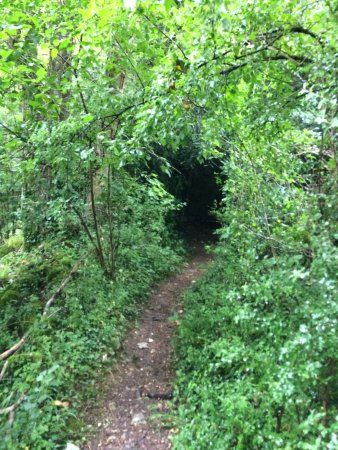 Vallées de la Grand-Pierre et de Vitain