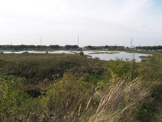 Rietveld Kallo & Groot Rietveld