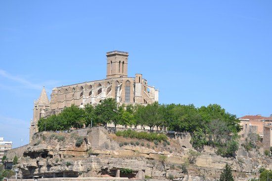 Colegiata Basílica de Santa María de la Aurora