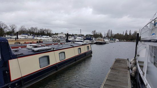 Shepperton Marina