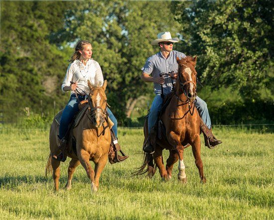 Brazos Bluffs Stables