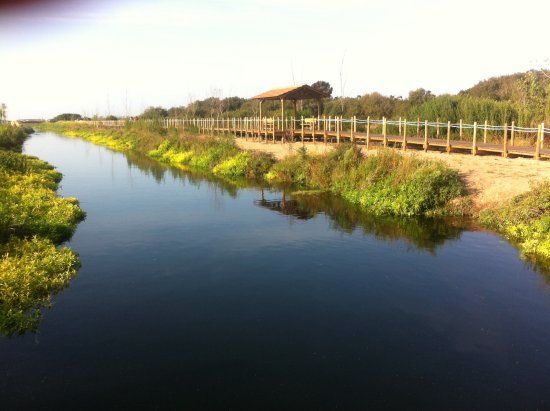 Passadicos da Barrinha