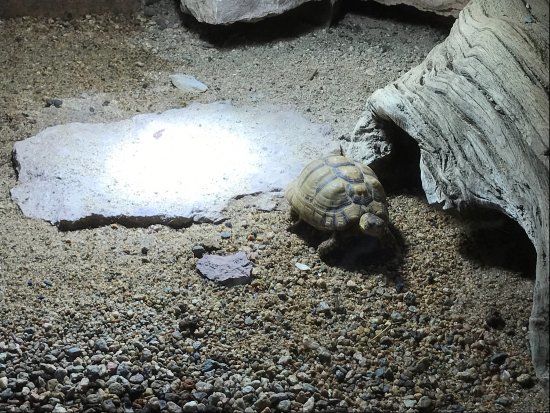 Blekinge Exotiska Värld & Blekinge Tropiska Förening