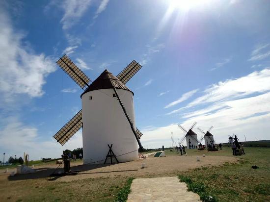 Molinos de Viento