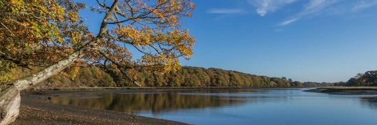 River Hamble Country Park