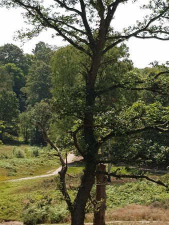Habberley Valley Local Nature Reserve