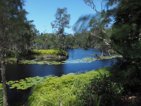 Urunga Wetlands Boardwalk
