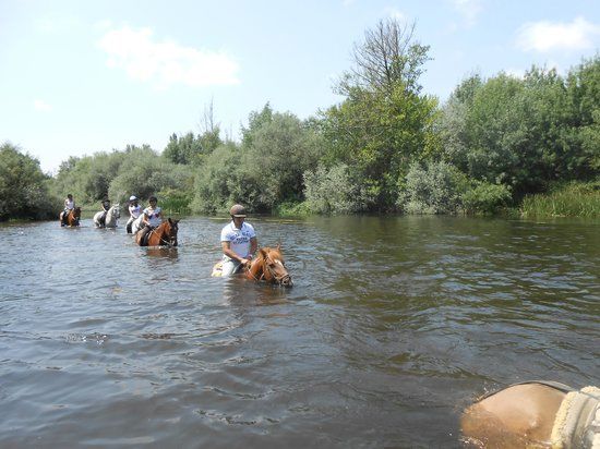 Caballos de la Ribera