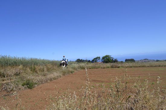 Centro Hípico La Esperanza