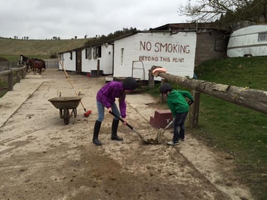 White Horse Trekking and Carriage Driving Centre