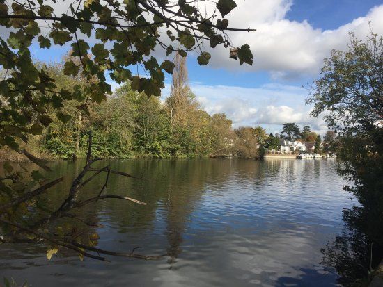 Hurst Park Open Space