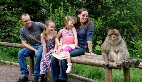 Trentham Monkey Forest