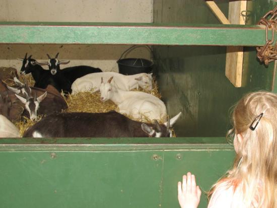 Secret Valley Wildlife Park