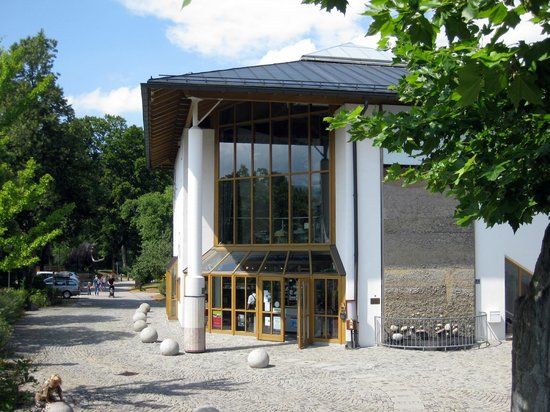 Sudostbayerisches Naturkunde- und Mammut-Museum Siegsdorf