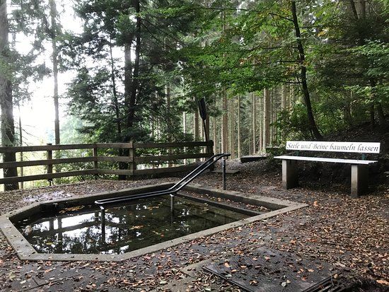 Wassertretbecken an der Sachsenquelle