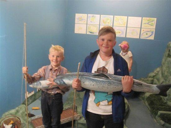 Icelandic Salmon Centre