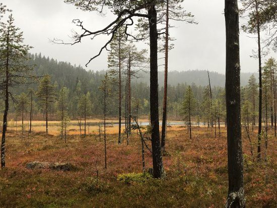 Björnlandet Nationalpark