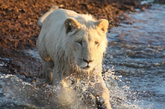 Ukutula Conservation Center