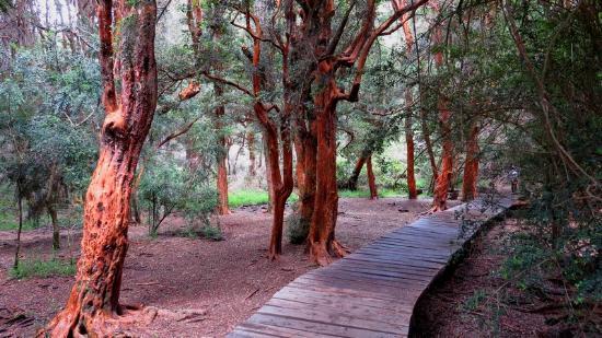 Parque Municipal Llao Llao