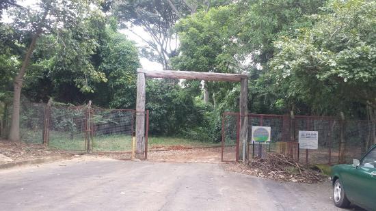 Gavino Quessa Municipal Forest