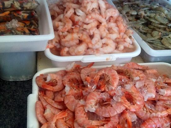 Municipal Fish Market