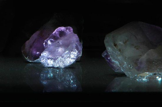 Museu de Arqueologia e Paleontologia de Araraquara