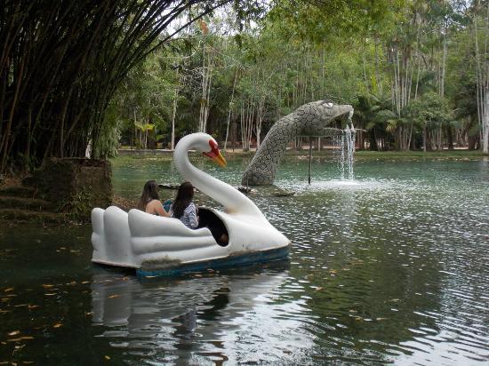 Museu do Parque Ambiental