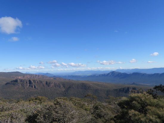 Mt William