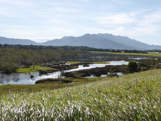 Eubenangee Swamp National Park