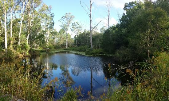Capalaba Regional Park
