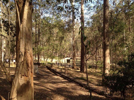 Daisy Hill Conservation Park